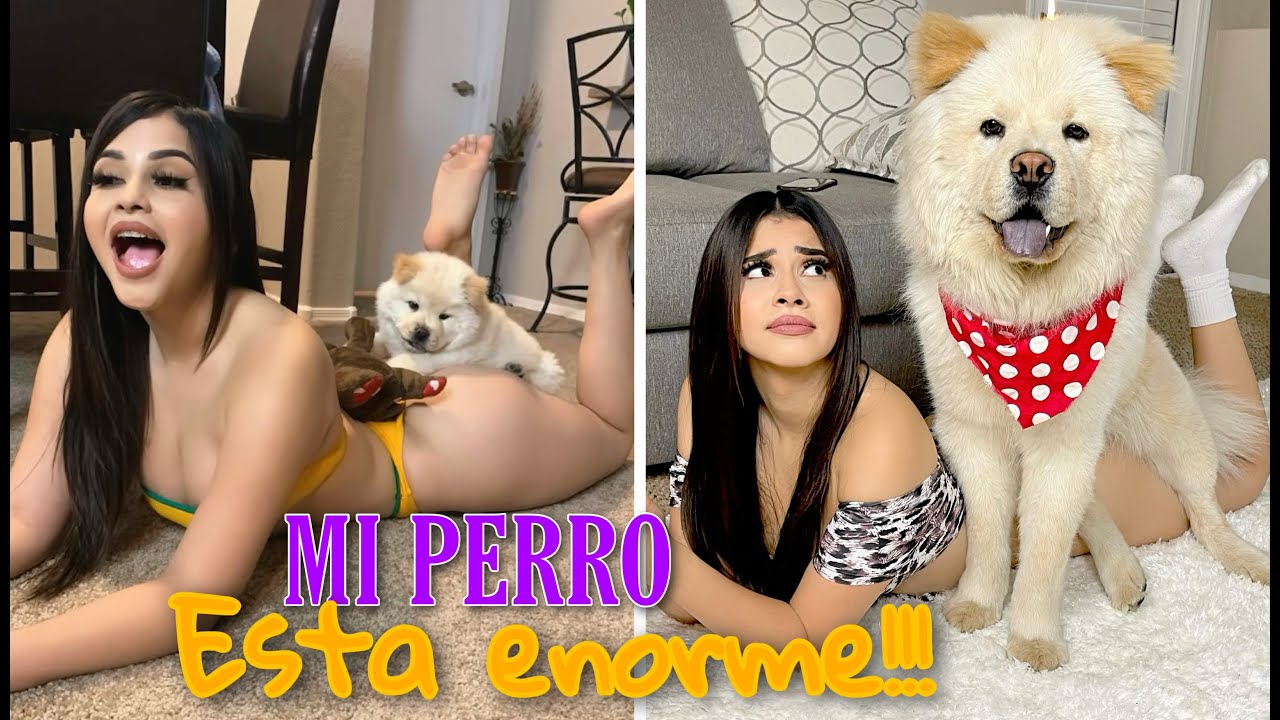 IMITANDO FOTOS DE YOUTUBERS CON MI PERRITO/ ASI SE MIRA DESPUES  DE UN AÑO!!- LILLIAN GRIEGO
