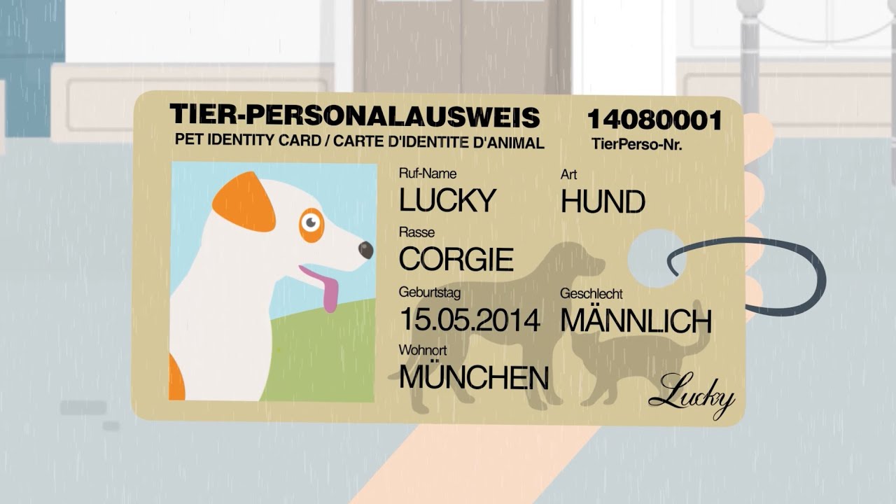 TierPerso - Hundemarke mit NFC-Chip - Die s&uuml;&szlig;e & informative Hundemarke. Jetzt gestalten!