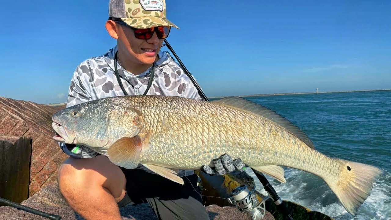 Первая поездка на пристань в этом году… Я был потрясен!