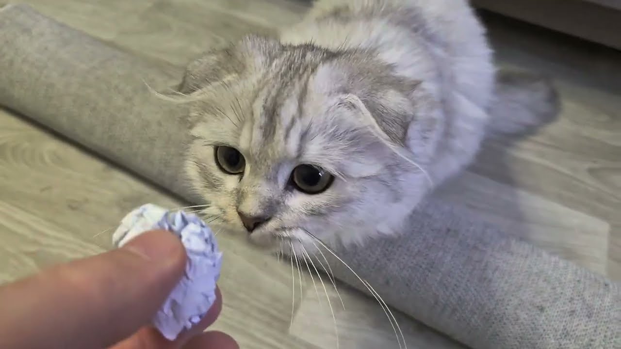 Батя остаётся на хозяйстве 😊