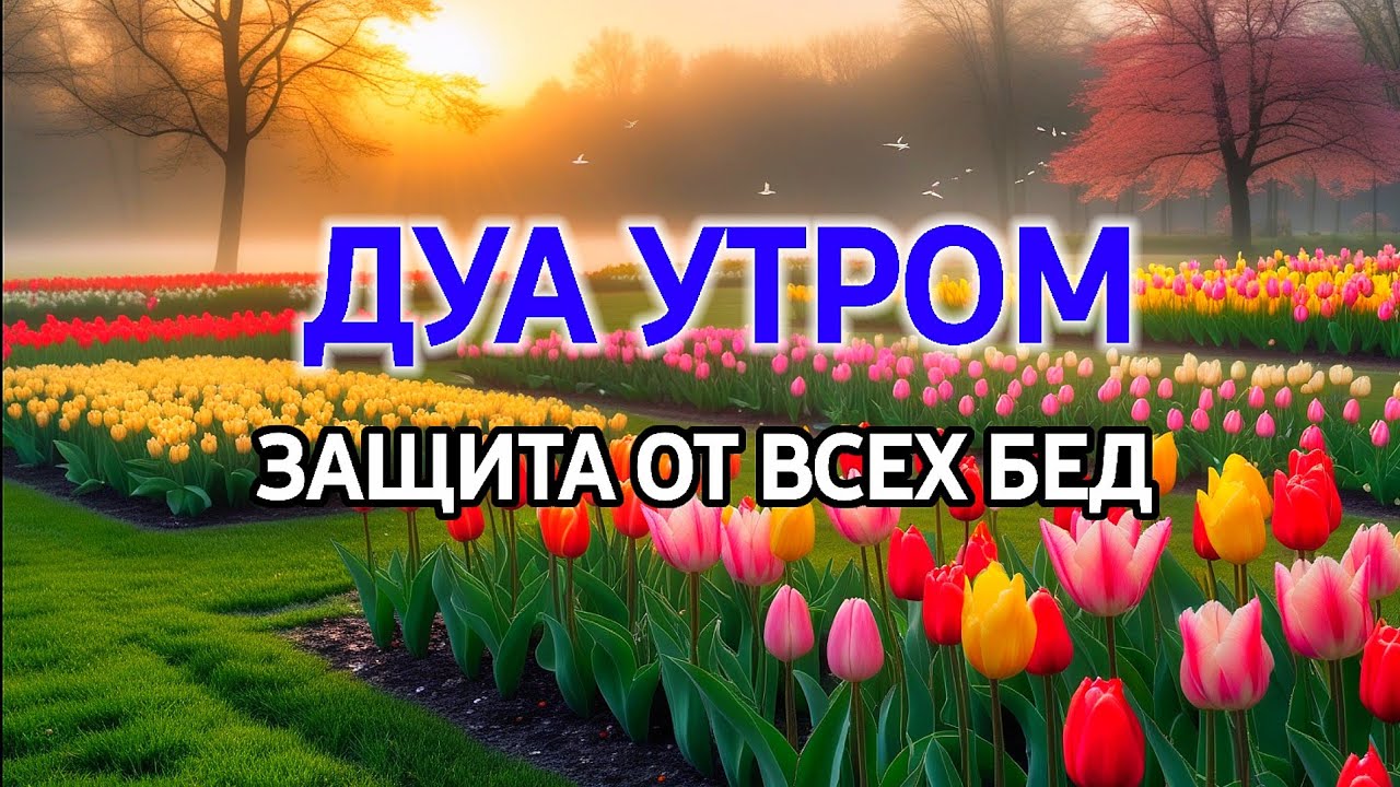 СИЛЬНЕЙШЕЕ ДУА УТРОМ ОТ ВСЕХ БЕД 🌹🌈
