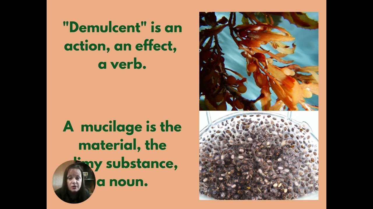 BEGINNER HERBALIST FILES: ACTIONS OF HERBS - Demulcents