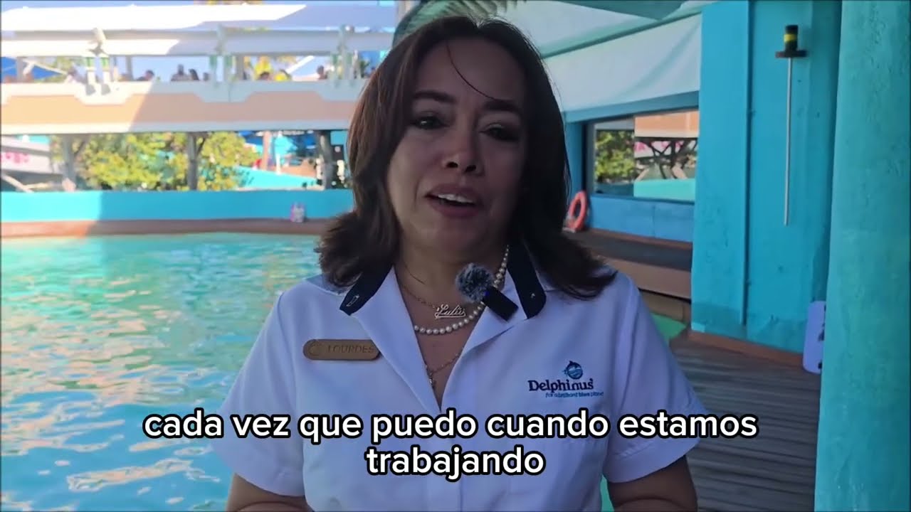 Las mujeres son un pilar importante en nuestra organización #8M l Delphinus