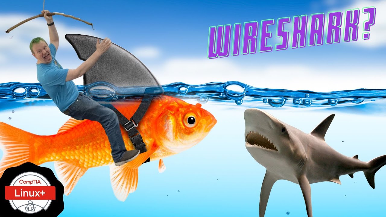 Network Monitoring Tools! (CompTIA Linux+ Objective 1.5.3)