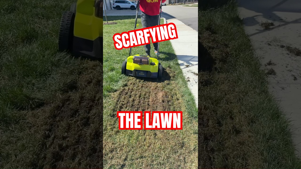 Scarifying the LAWN is Actually FUN! #lawn