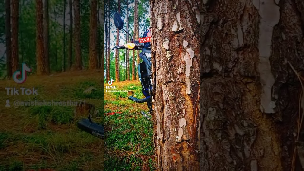xblade 160#Honda