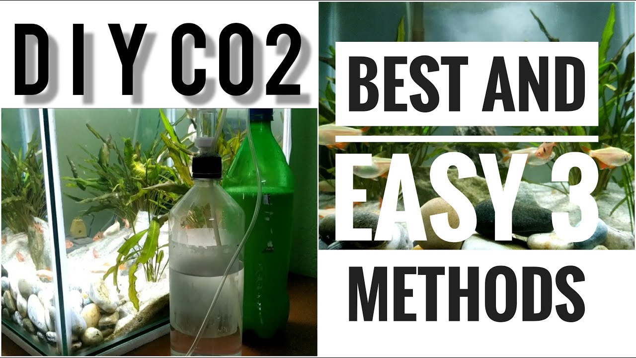 DIY CO2 FOR PLANTED AQUARIUM ||  BEST AND EASY 3 METHODS || HOW TO MAKE CO2 AT HOME || DIY CO2