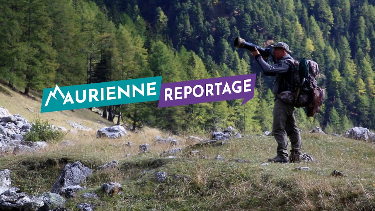 Maurienne Reportage #247 - Patrick Gaulon, photographe animalier