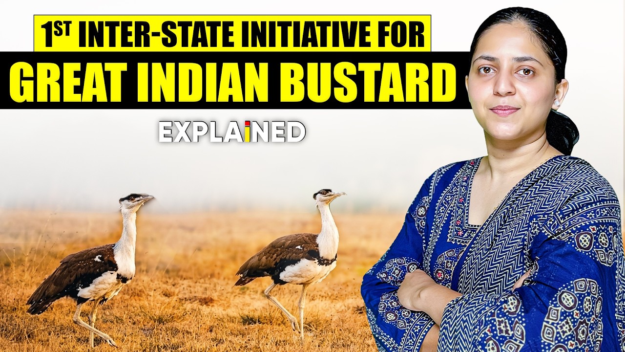 Critically Endangered Great Indian Bustard | India&rsquo;s New Conservation Strategy Explained