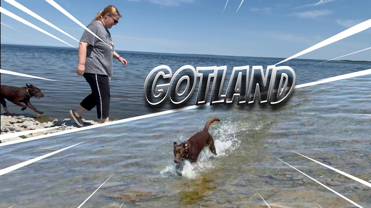 Mit dem selbstausgebautem Camper nach Gotland/Schweden