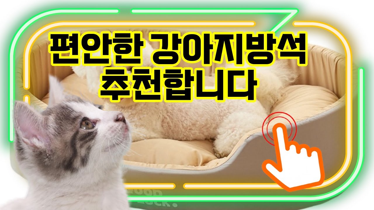 ❤️추천 강아지방석 🐶✨ 포근하고 세탁도 간편한 강아지 방석으로 우리 강아지에게 최고의 휴식을 선물하세요! 💤🧼