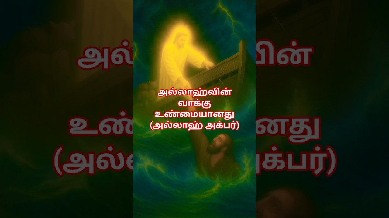 prophet story nuhnabi#3#shorts