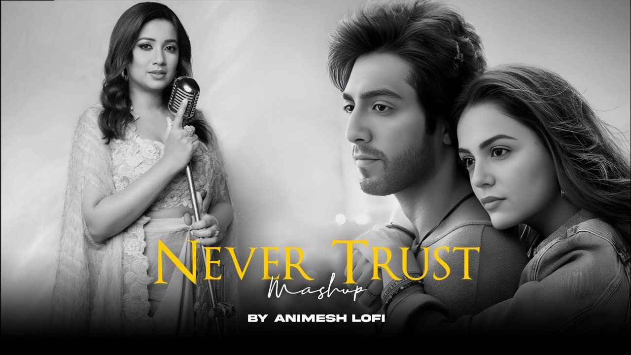 Never Trust Mashup | Sunn Raha Hai x Dhadak | Sadness Chillout | Animesh Lofi