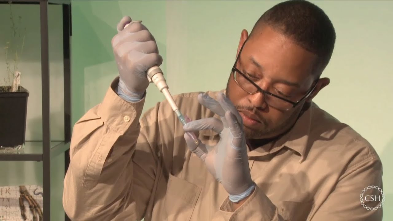 DNA Barcoding Techniques Refresher (Recorded Webinar)