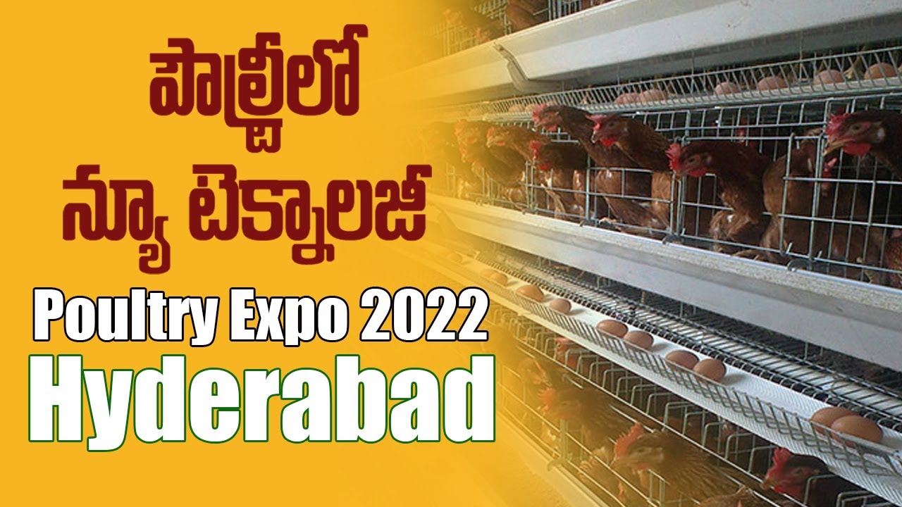Poultry Expo 2022 @ Hyderabad | Hitech poultry Expo |  Telangana News