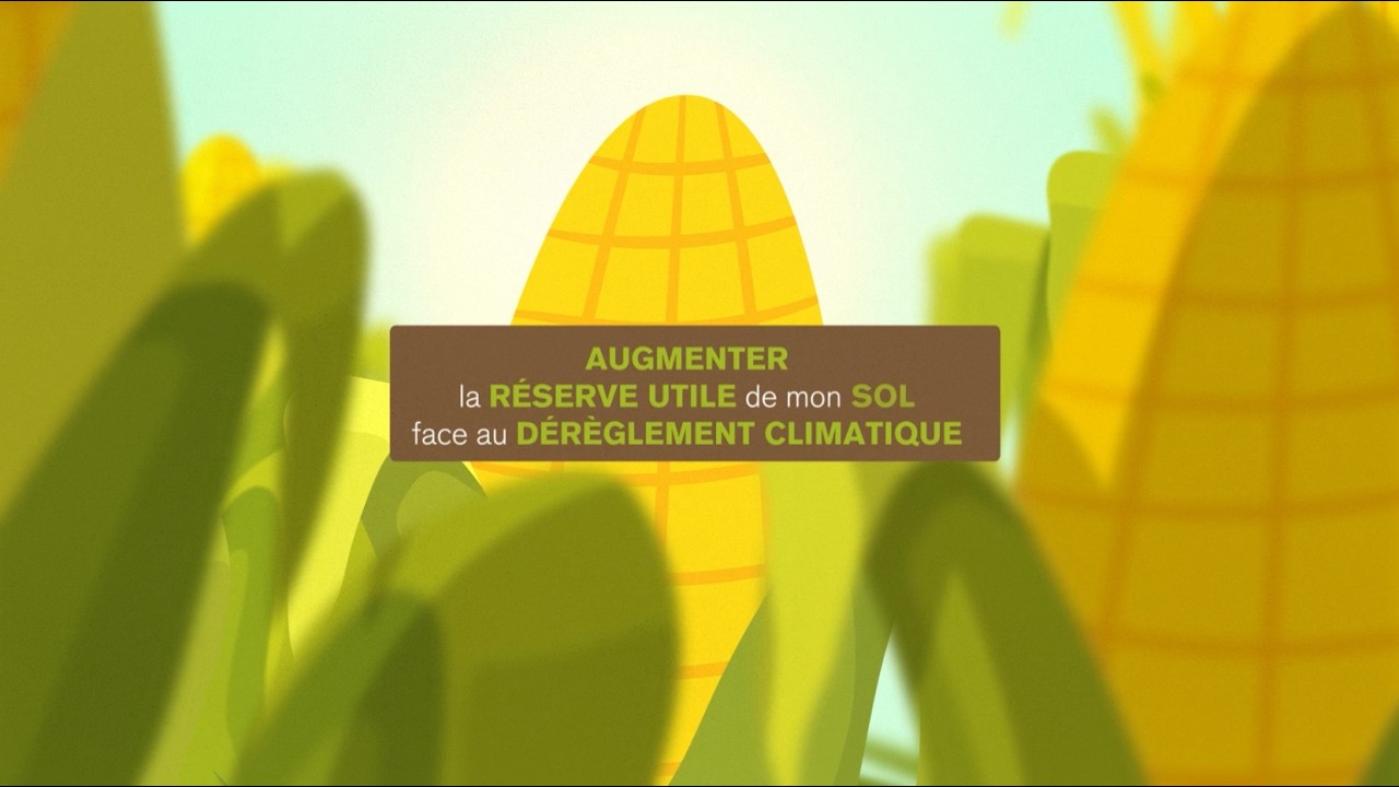 Réserve utile des sols : facteur n°1 de la productivité