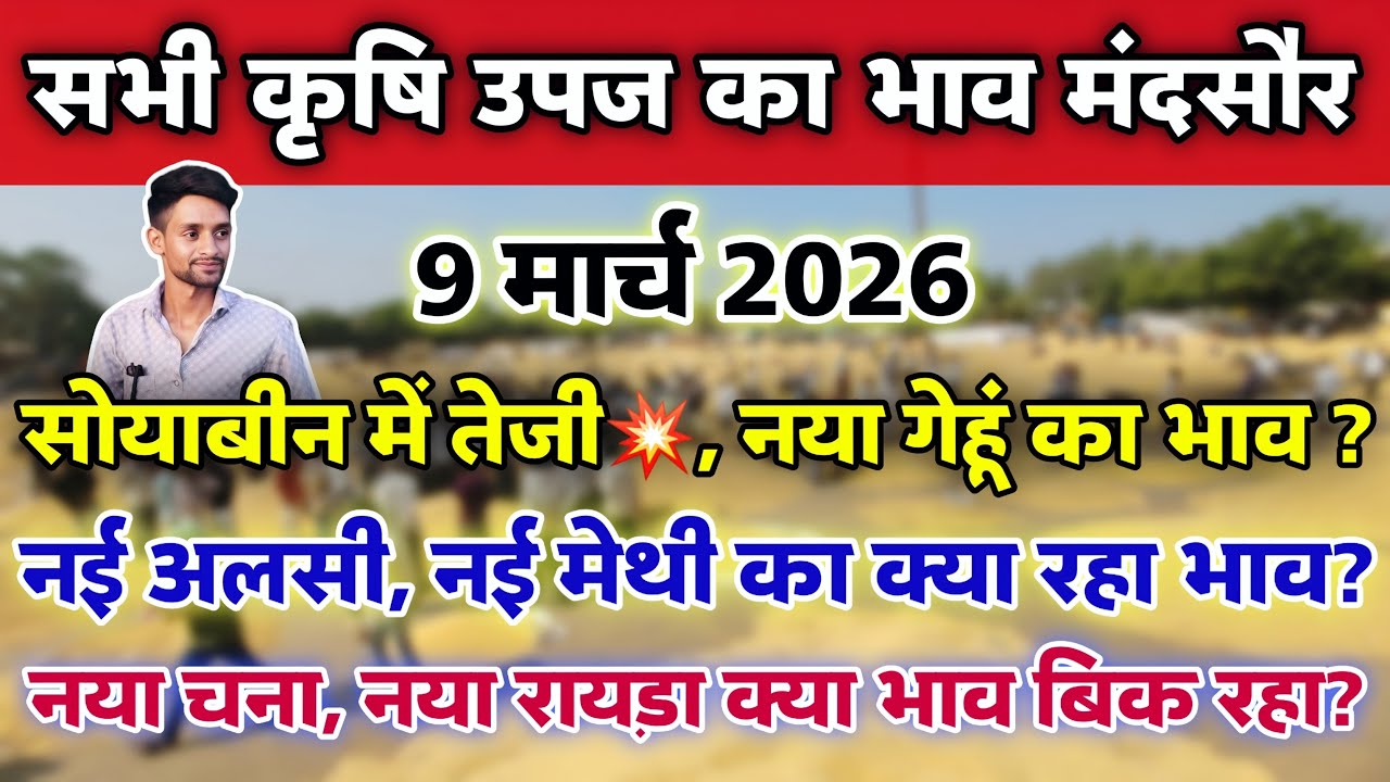 सभी कृषि उपज का भाव मंदसौर मंडी 9 मार्च 2026 | Mandsaur Mandi ka bhav #mandsaur_mandi_bhav