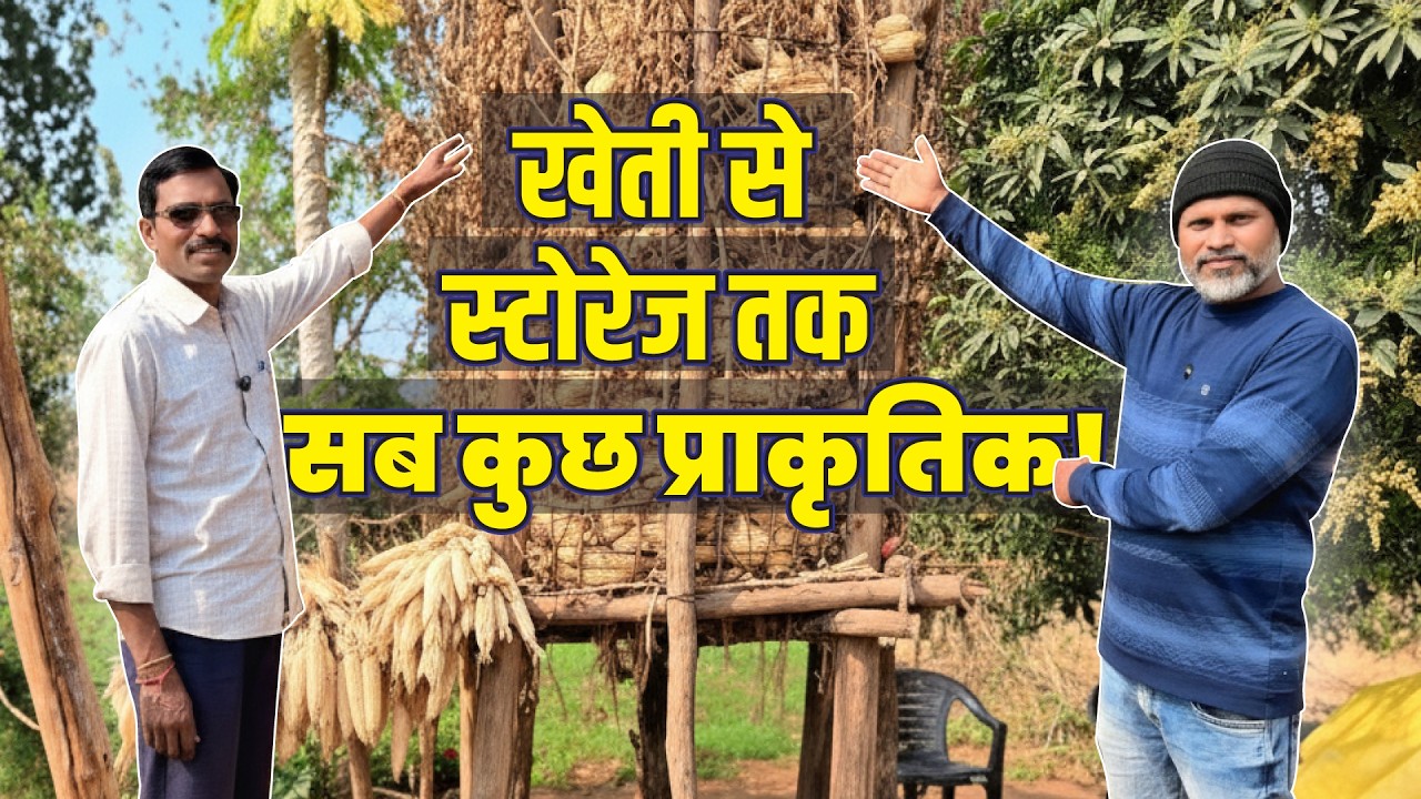 स्टोरेज का खर्चा ₹0! 🌾 प्राकृतिक खेती, Rain Water Harvesting और फसल सुरक्षा की पूरी जानकारी