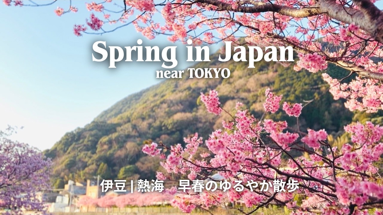 Spring in Japan | Cherry Blossoms & Atami Travel Vlog– Quiet Walk near Tokyo