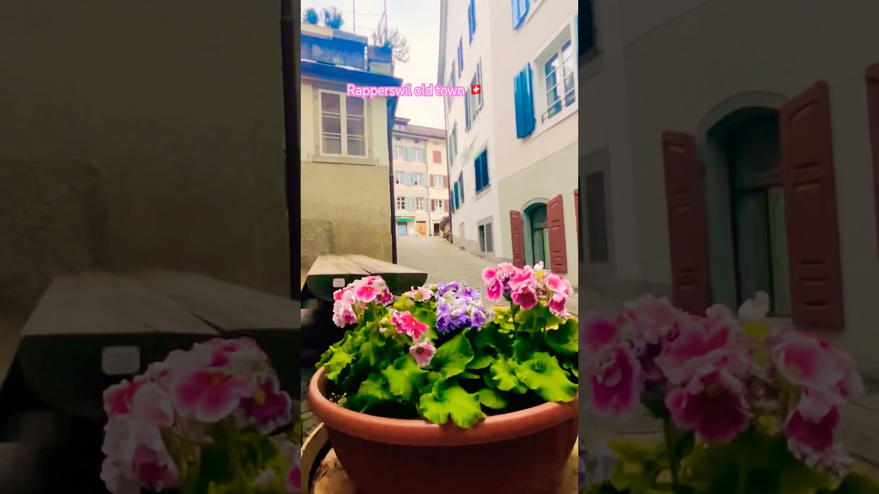 Rapperswil old town St.Gallen Switzerland 🇨🇭 #shortsfeed #travel #rapperswil