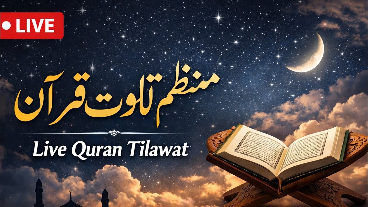 منظم اور پُرسکون تلاوتِ قرآن | Live Quran Tilawat | دل کو سکون دینے والی آواز(ا