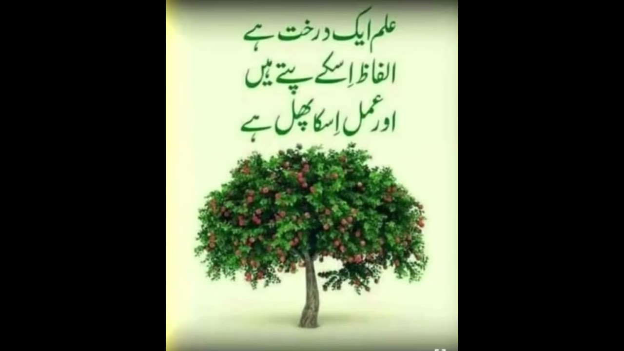 ::Wanakh na haal saane shahamadanes::🤍kashmiri sufi song 🤍kalam🤍🌹GHULAM-E-KHALIL🌹🤍#vtuber 