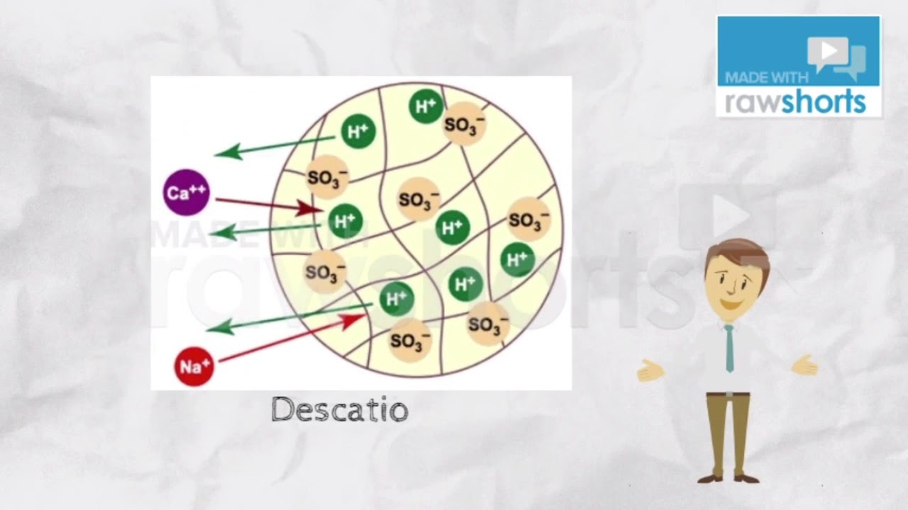 Intercambio ionico