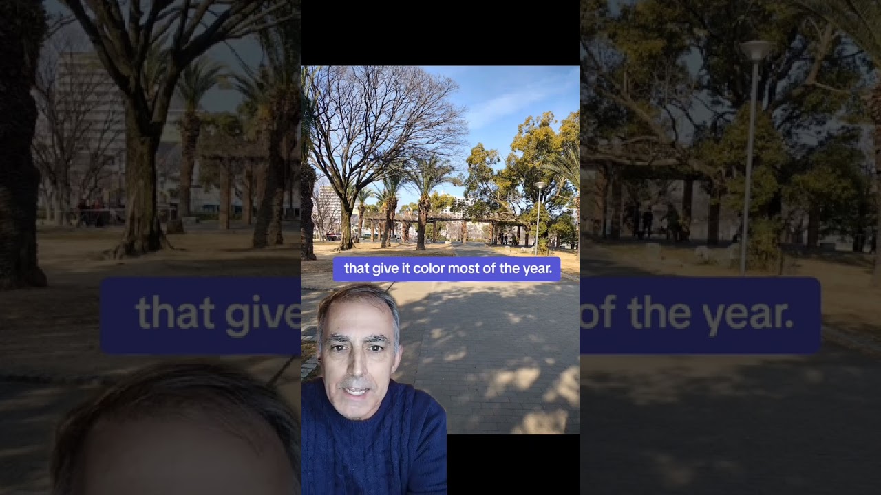 Francis Xavier's View From Sakai ( 