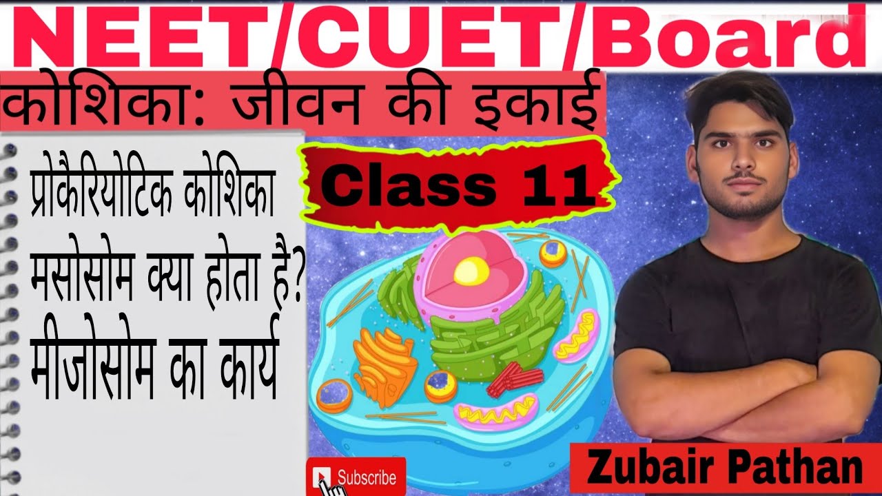 Cell:The Unit of Life| मसोसोम क्या होता है? | मसोसोम के कार्य | Lec=9 |NEET&CUET CLASS11NCERTBIOLOGY