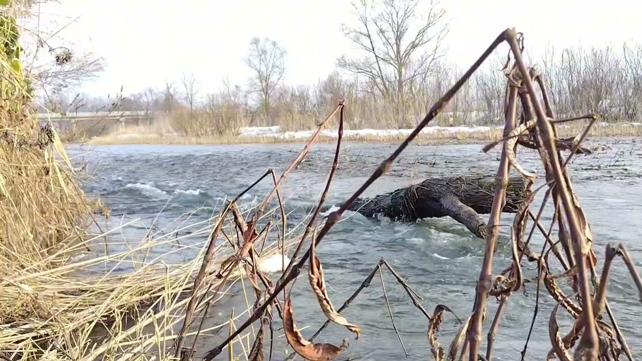 Gentle Flow in Spring | Ran River　動き始める季節の乱川