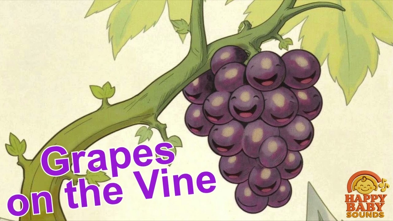 11 Grapes on the Vine &ndash; Healthy Food Songs for Kids | Fun Music About Healthy Eating