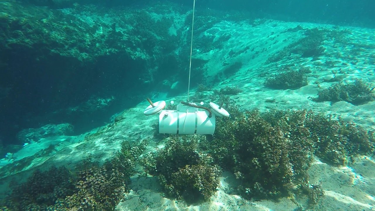 Deploying a handheld (5L) horizontal water sampler