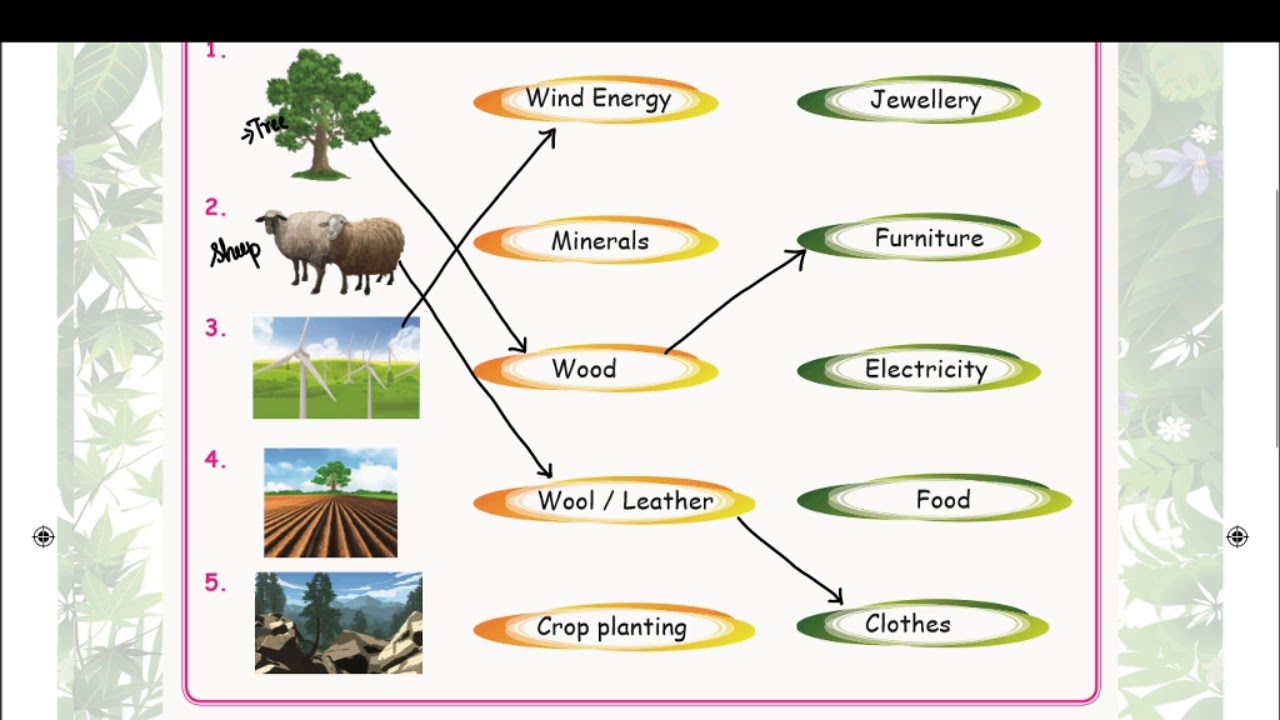 Samacheer Kalvi | Class 3 | Science  |Term 3 | Unit 1 | Our Environment