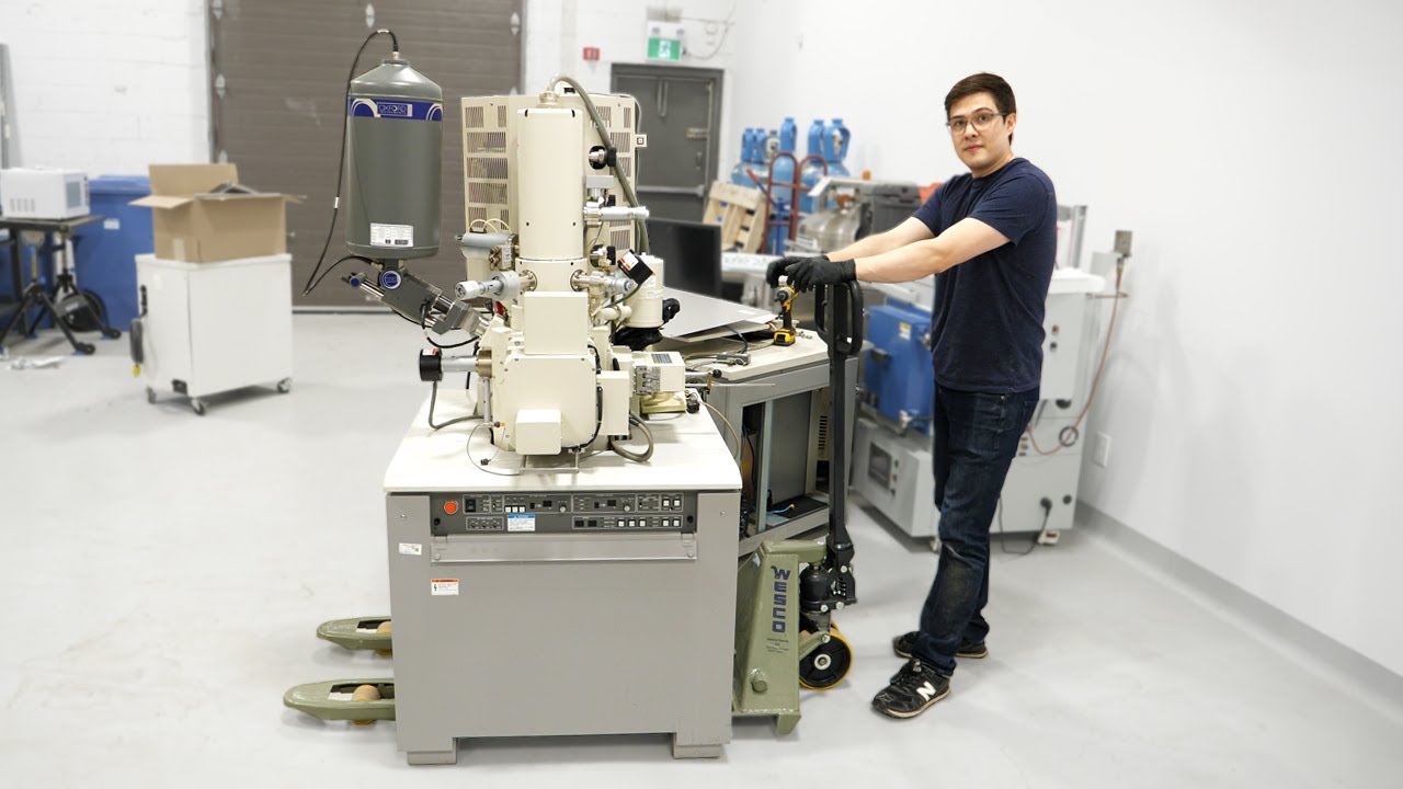 Just a bunch of monkeys with a microscope