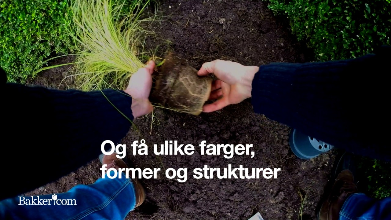 Hagetips: Slik skaper du en minipr&aelig;rie