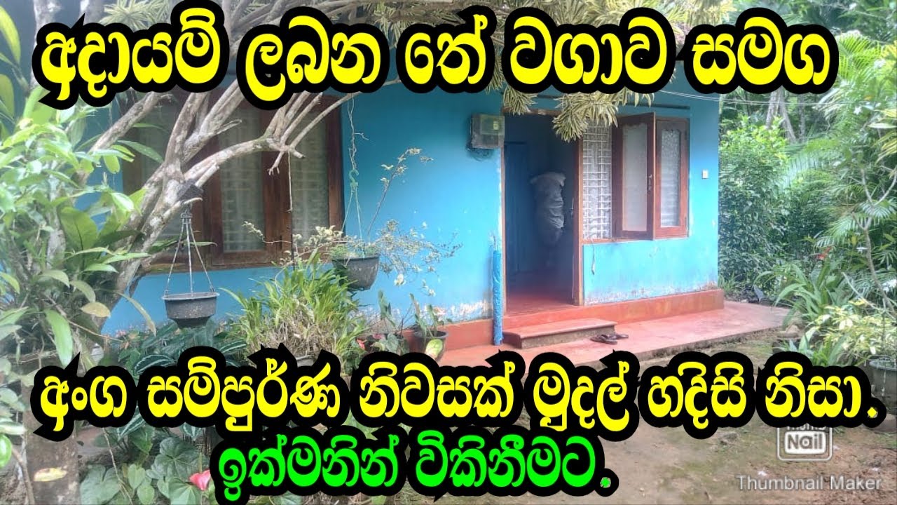 නිරවුල් ඔප්පු සහිත අදායම් ලබන තේ වගාව සමග මේ නිවස ඉක්මනින් විකුනනවා .Galle Land/Tea Land/Aduwata id