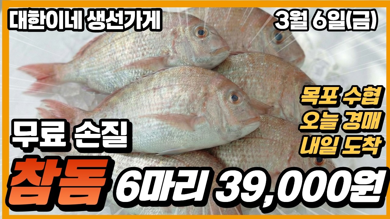 3월 6일(금)🌊 #참돔 #우럭 #가자미 #반건조우럭 #반건조농어 #반건조민어 #장대 #목포수협 #생선택배 #대한수산 #freshfish #seafood