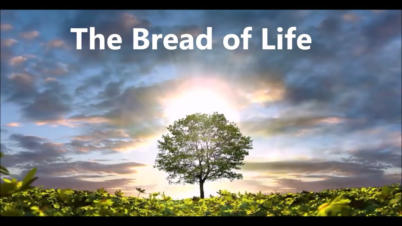 Bread of Life: A Message of Hope and Renewal
