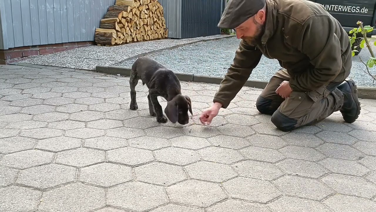 Olaf und das 