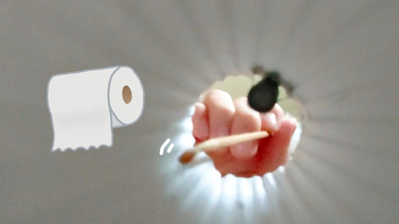 雑ASMR︰落ち着く、トイレットペーパー(芯なし)の中を耳かきする音