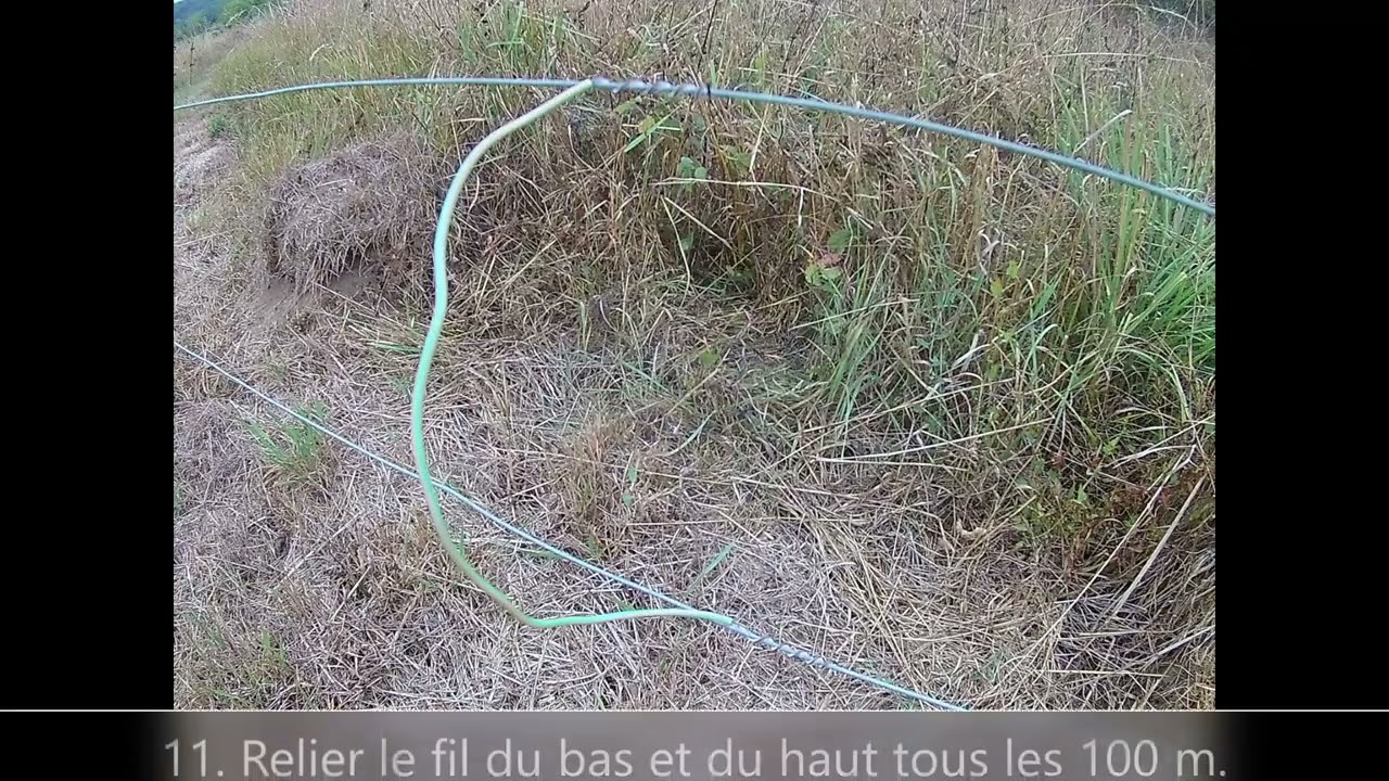 Clôture électrique anti-sanglier, anti-wildschweine elektrozaun, anti boar electric fence