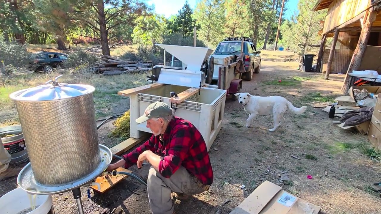 Grape crushing time at the reserve