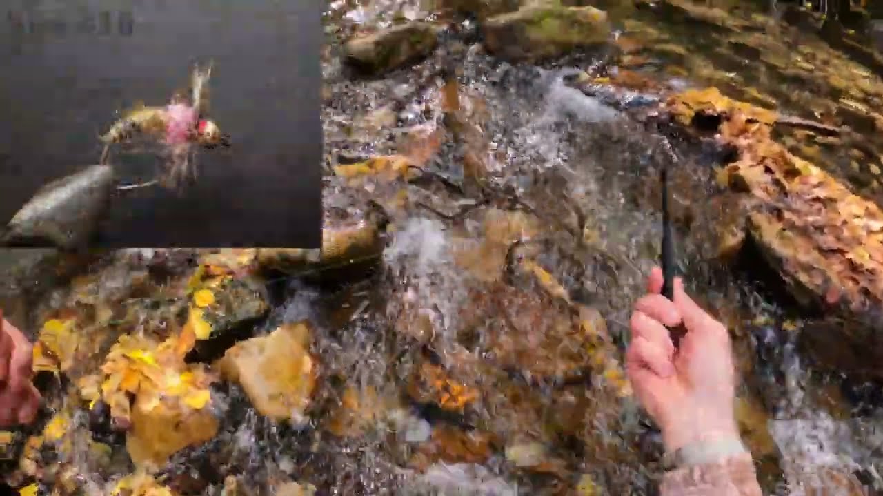 536. 20 октября 2025 г. — Zen Tenkara Hachi (Рыбалка нахлыстом Tenkara)