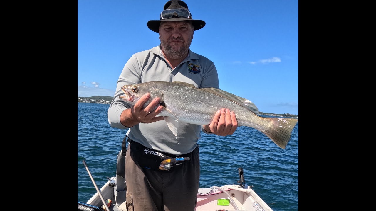 🎣 Fishing Lake Macquarie 🐟 Jewfish Action, a Kingie & Squid on the Jigs 🦑👑