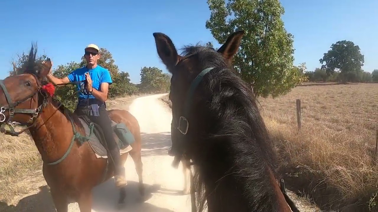 Day 1 horse trekking Tuscany - see Italy on horseback for the ultimate lifestyle travel adventure