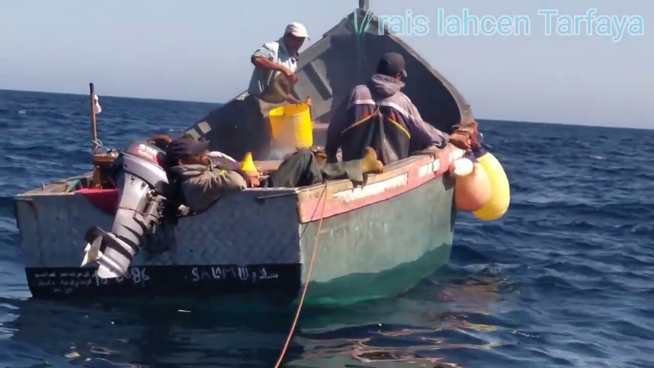 صيد الاسماك في القارب .