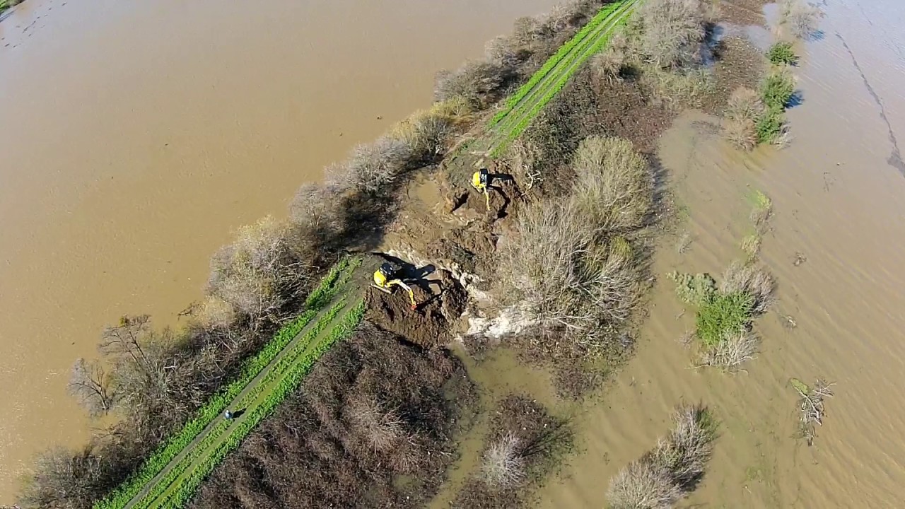 Levee Breach Converts California Delta Island to Floodplain - McCormack-Williamson Tract