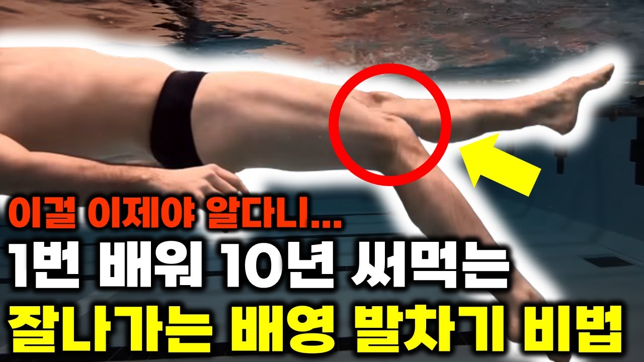 배영 킥 잘하는 3가지 방법 1번 배워두면 10년은 써먹습니다