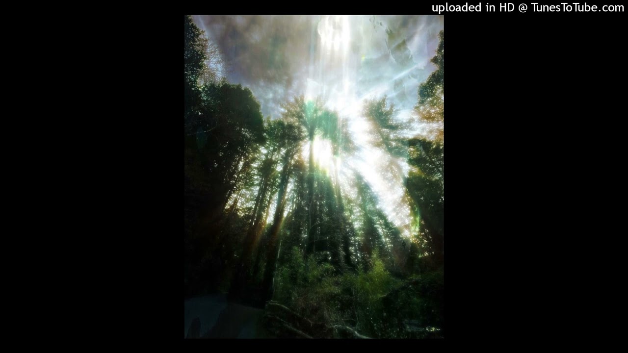 [FREE] ambient + izaya + nature type beat &ldquo;move&rdquo;