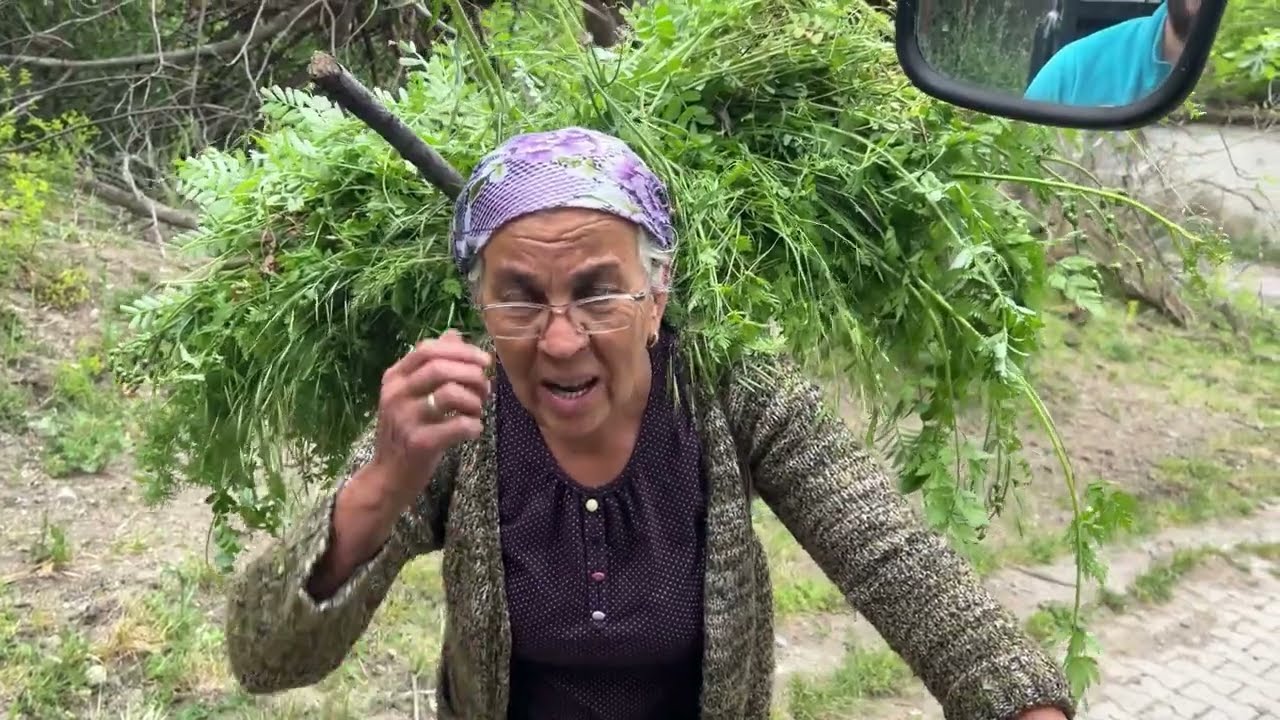 PATRON SAHALARA GERİ DÖNDÜ